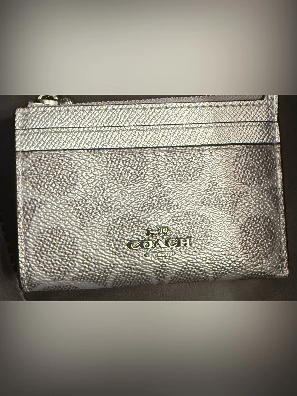 Coach metallic silver